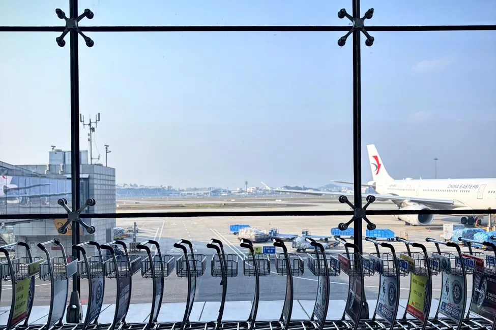 Baggage trolleys lined up at an airport window