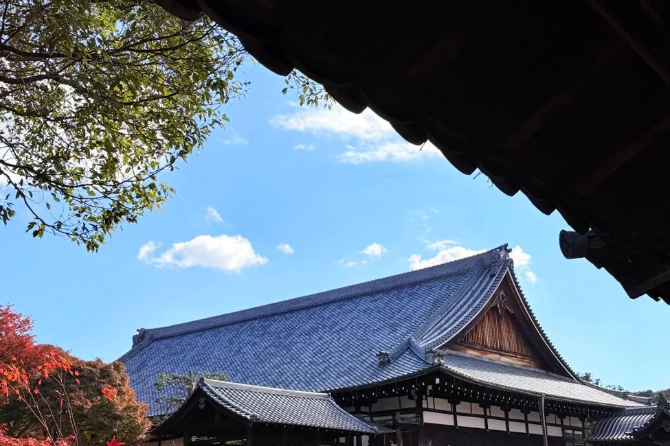 A temple roof framed by autumn maple