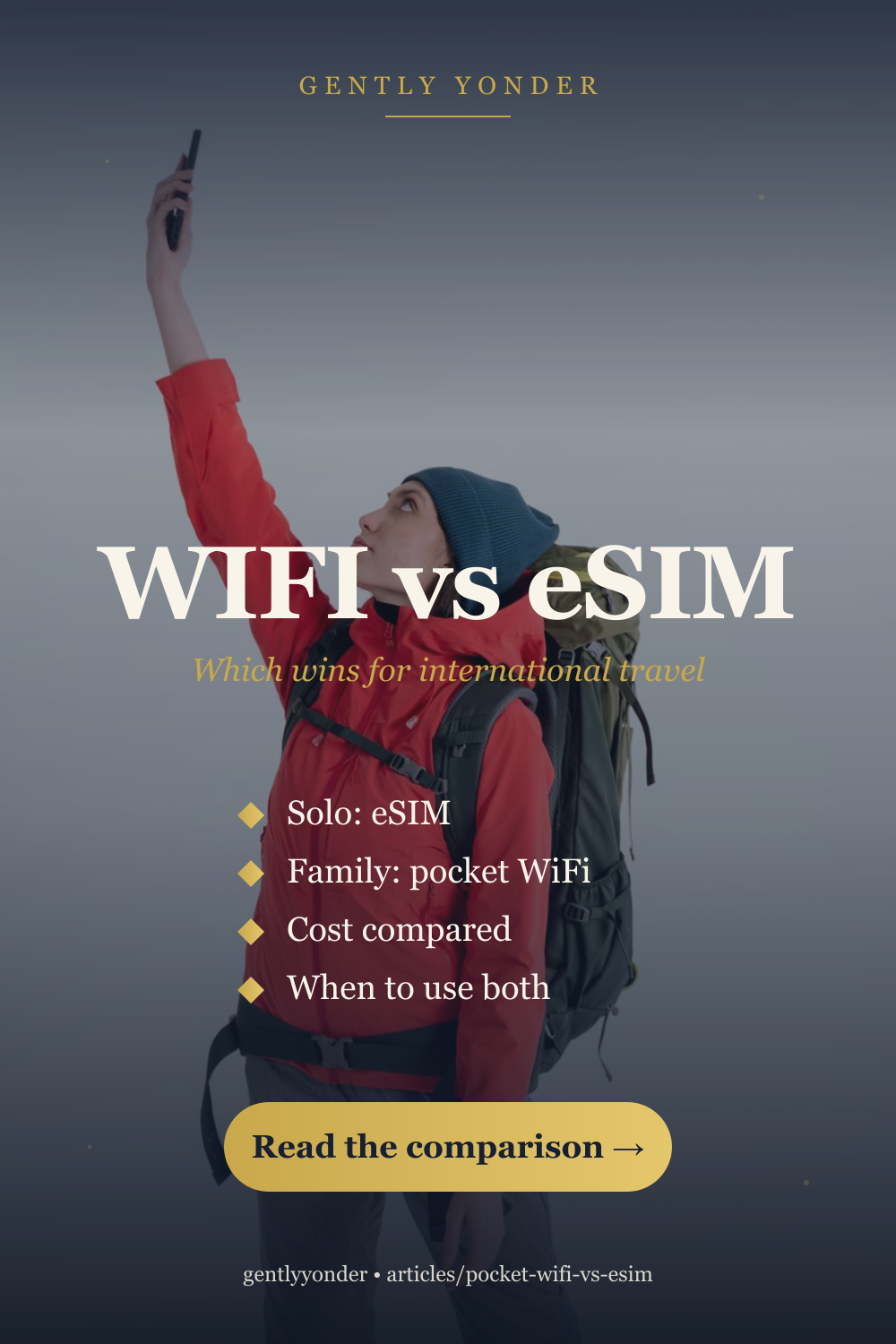 Pocket WiFi vs eSIM